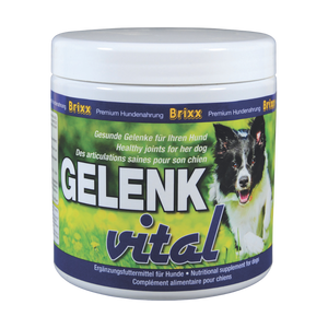 BRIXX Gelenk Vital