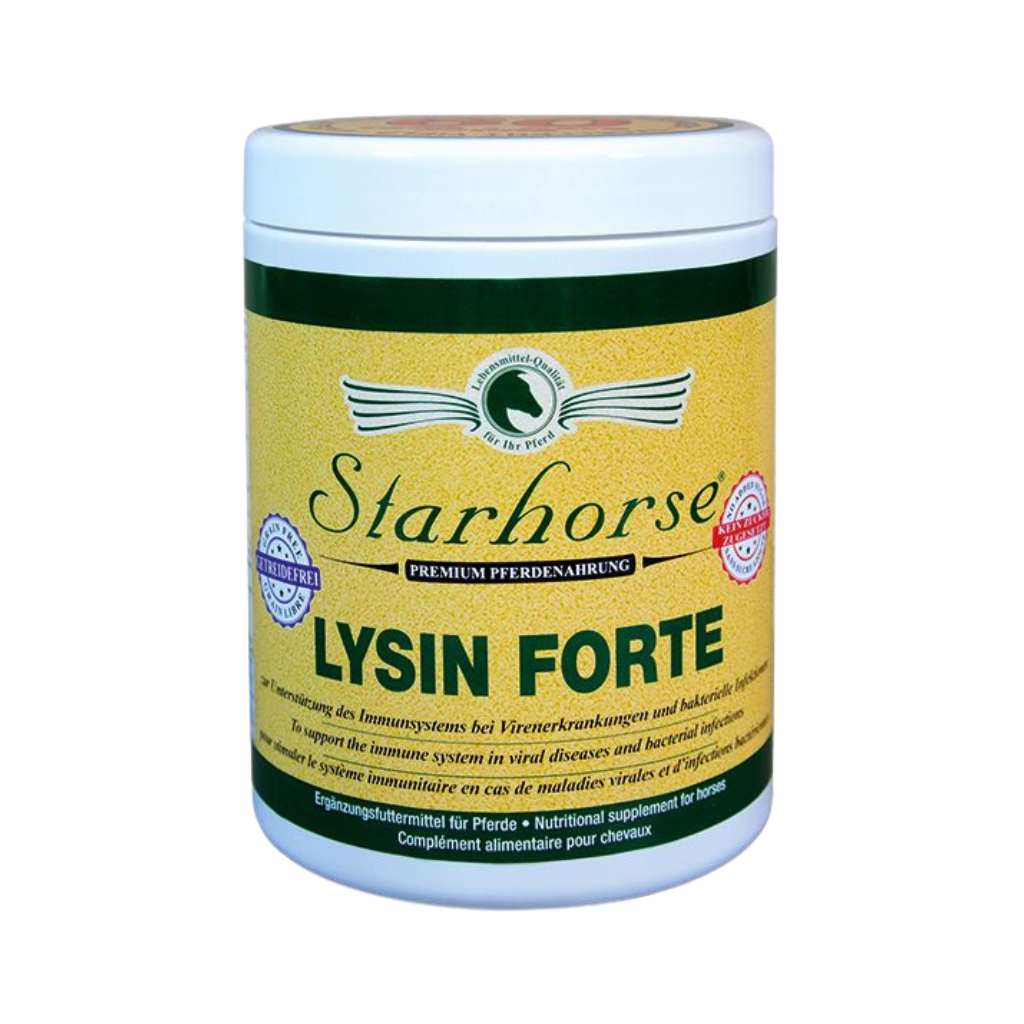 LYSIN FORTE