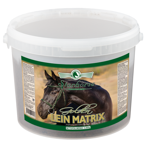 GOLDEN LEIN MATRIX