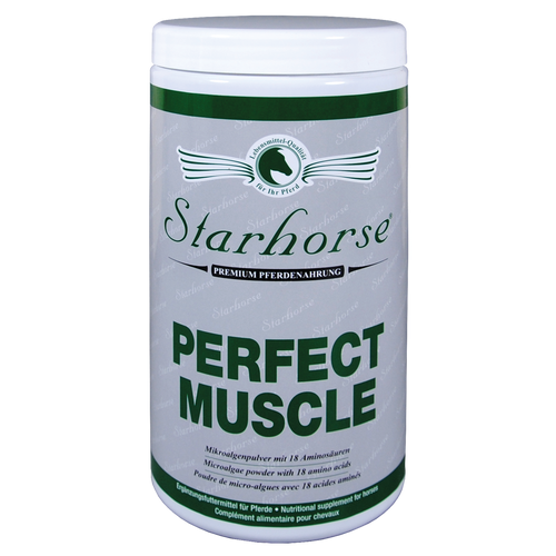 PERFECT MUSCLE